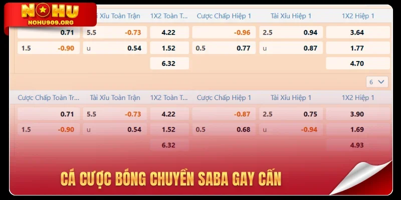 Cá cược bóng chuyền SABA gay cấn