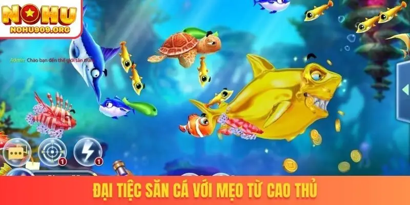 Đại tiệc săn cá với mẹo từ cao thủ