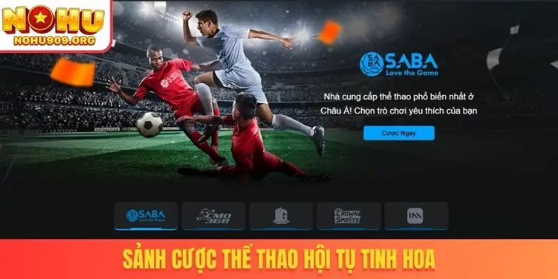 Sảnh cược thể thao hội tụ tinh hoa